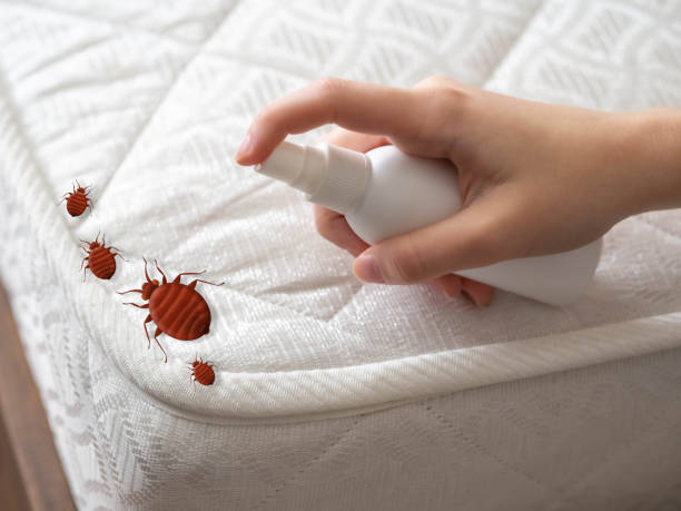Best Pest Removal Services  in West Hammond, NM