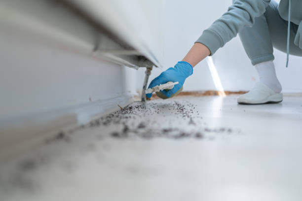  West Hammond, NM Pest Control Pros