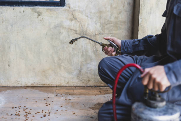 Best Best Pest Control Companies  in West Hammond, NM